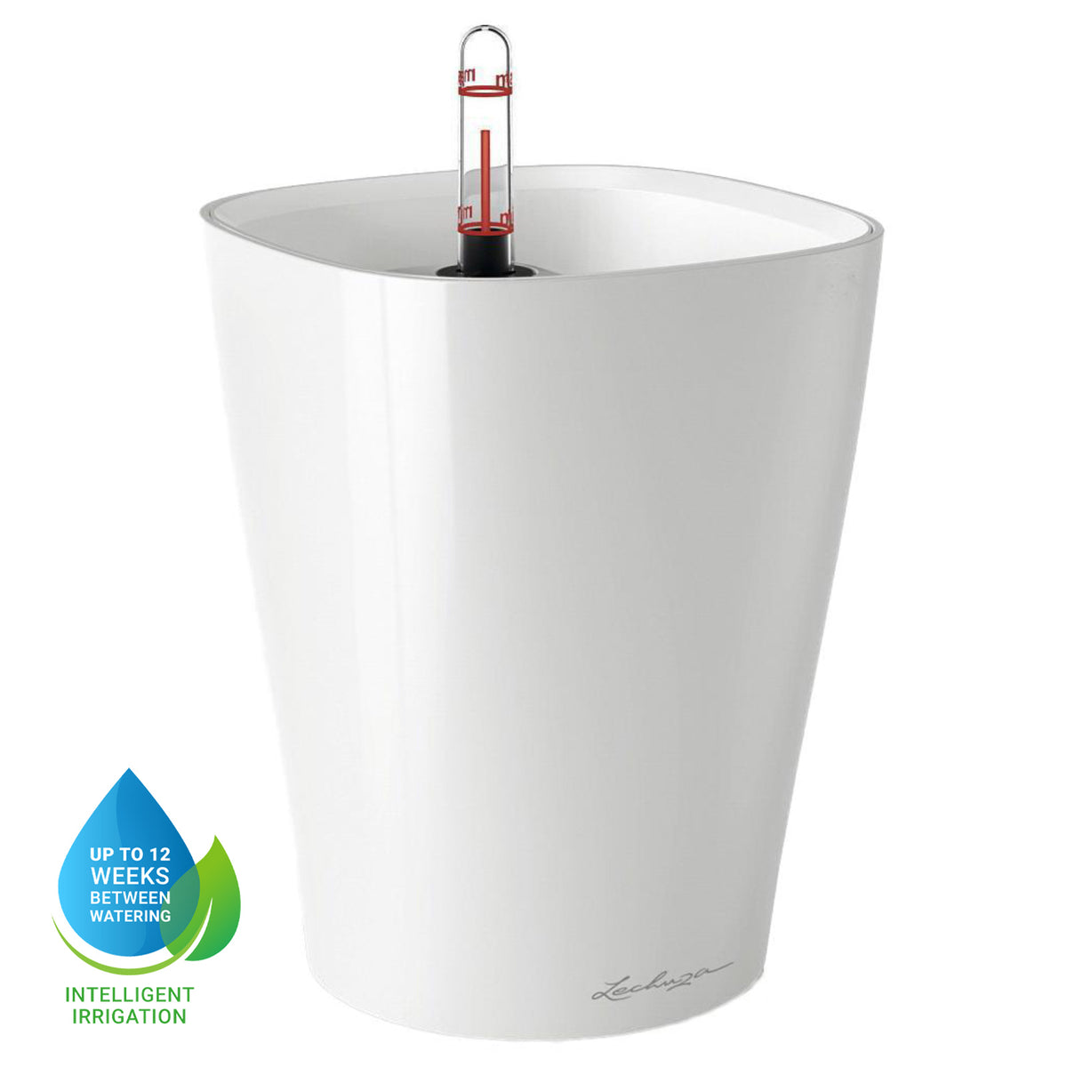 LECHUZA Mini Deltini, a small self-watering planter with water level indicator and 0.4L reservoir