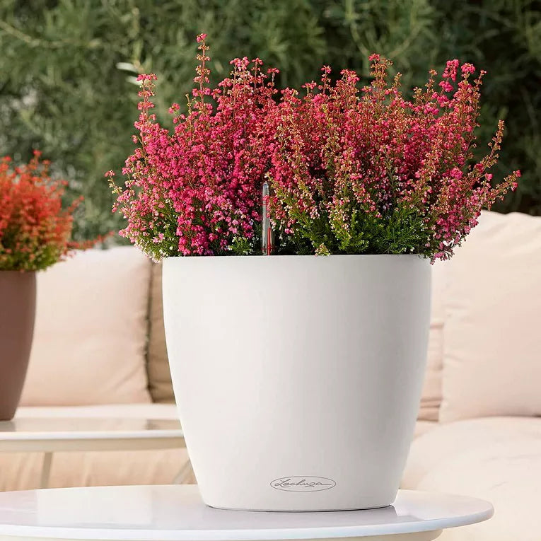 Lechuza Classico Color 18, a 2.5L self-watering planter with a water level indicator
