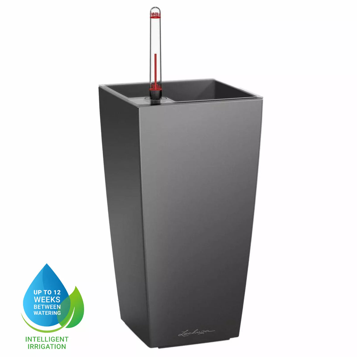 LECHUZA Maxi Cubi, a self-watering planter with water level indicator and 1.5L reservoir
